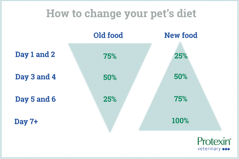 Diagram showing how to change your pets diet in 7 days